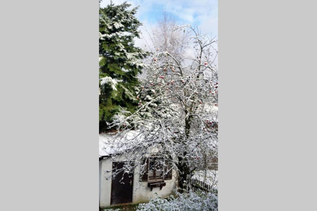 Landhaus Haid Presseck Exterior photo